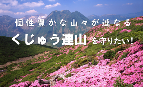 ミヤマキリシマ