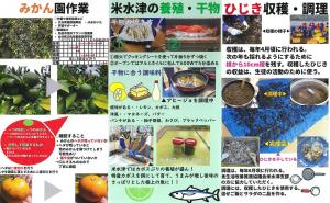 米水津中学校の生徒が作成したパンフレット2