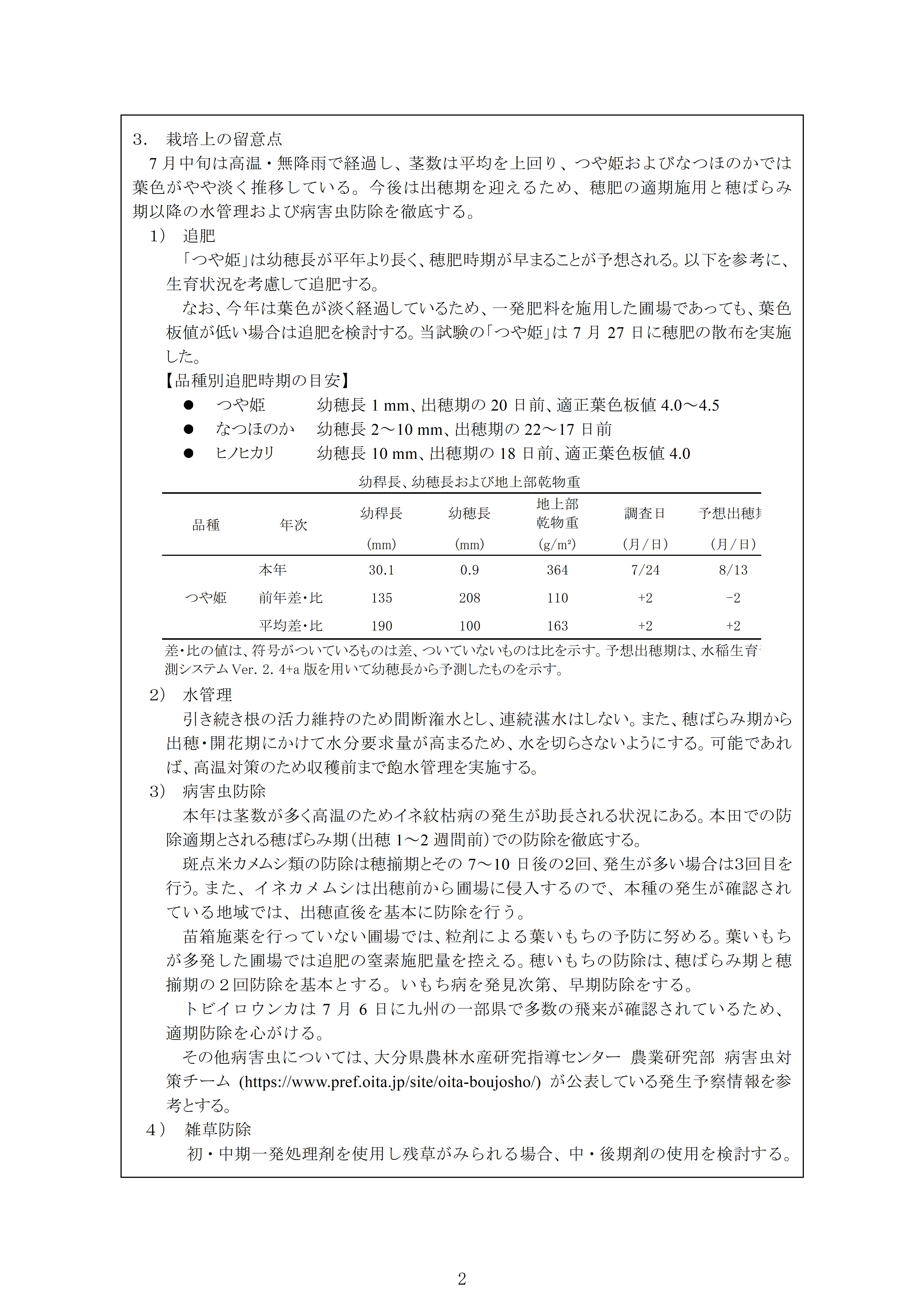 r08rice-02
