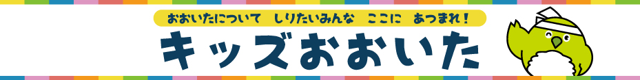 大分県旗 テトロン製 日本製 大分県